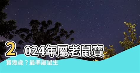 屬鼠的幸運色|2024屬鼠幾歲、2024屬鼠運勢、屬鼠幸運色、財位